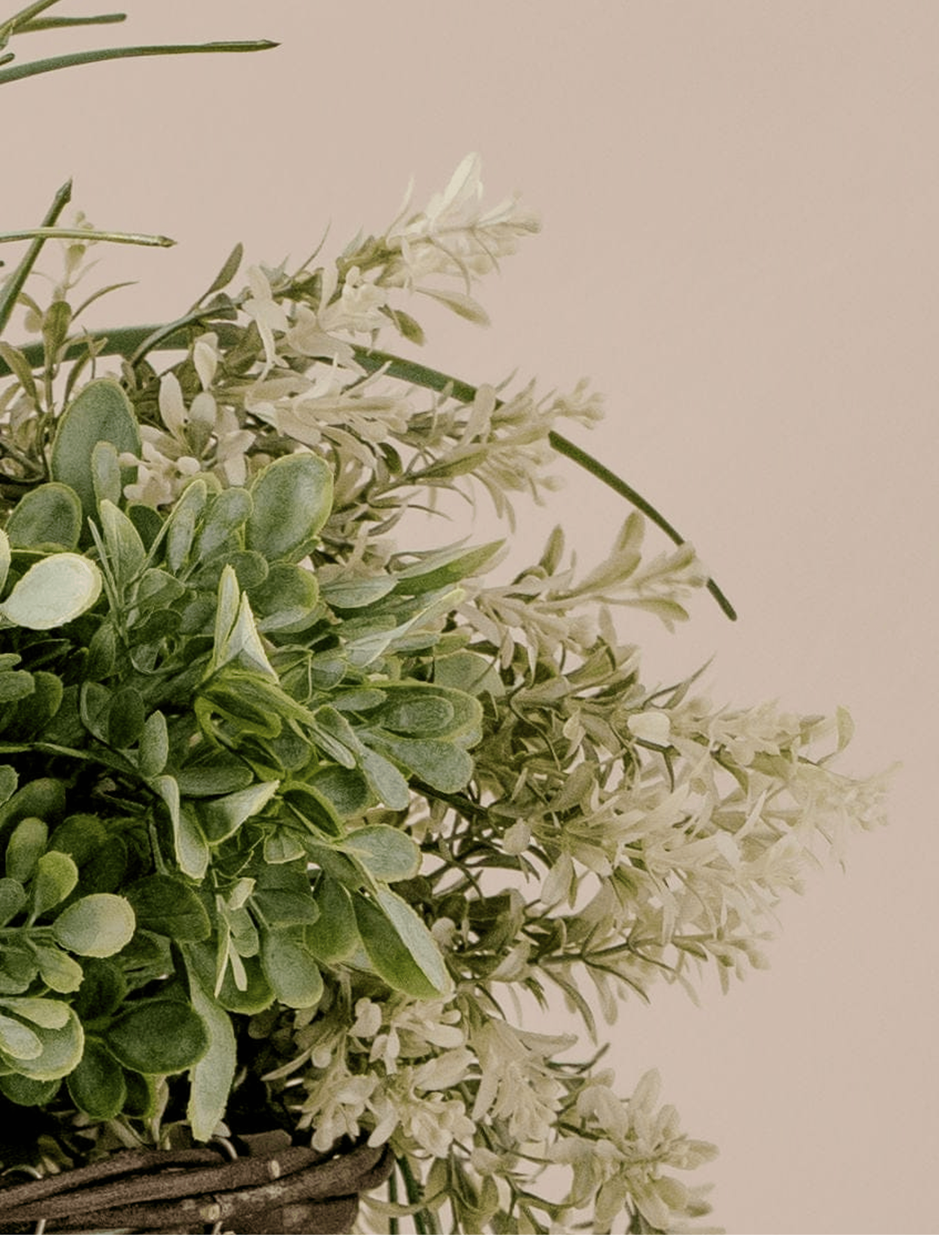 Outdoor Hanging Floral Basket - Green & Purple