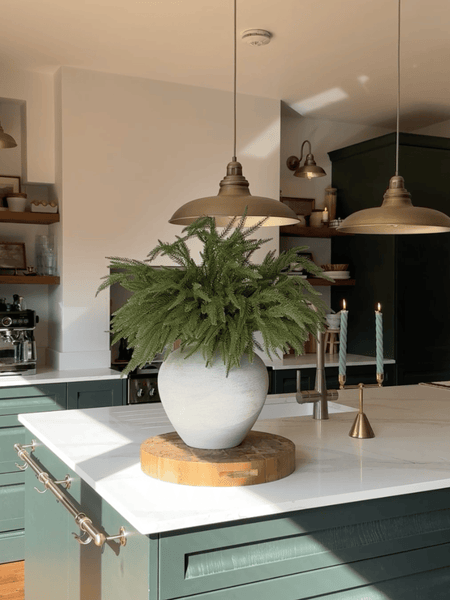 Faux Norfolk Pine (5 Stems)