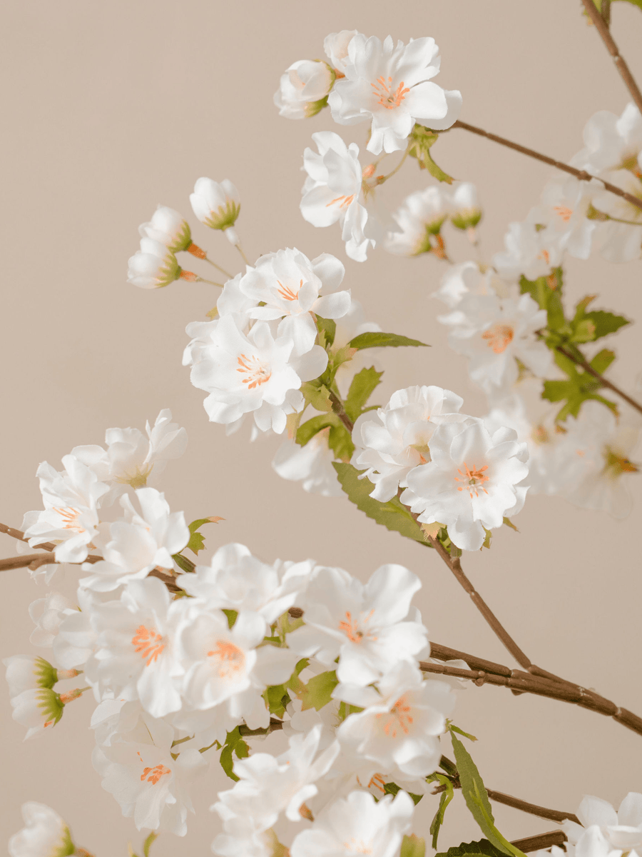 Faux Japanese Cherry Blossom - White (6 Stems)