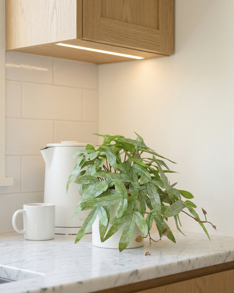 Faux Greenery - The Zen