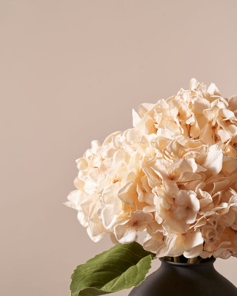 Faux Hydrangea Bouquet - Cream (4 stems)