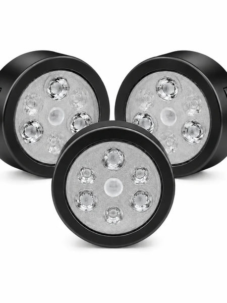 Magnetic Picture Lights