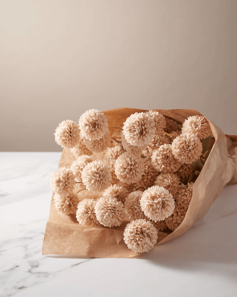 Faux Kiku Flower - Cream (10 Stems / 50 Heads)