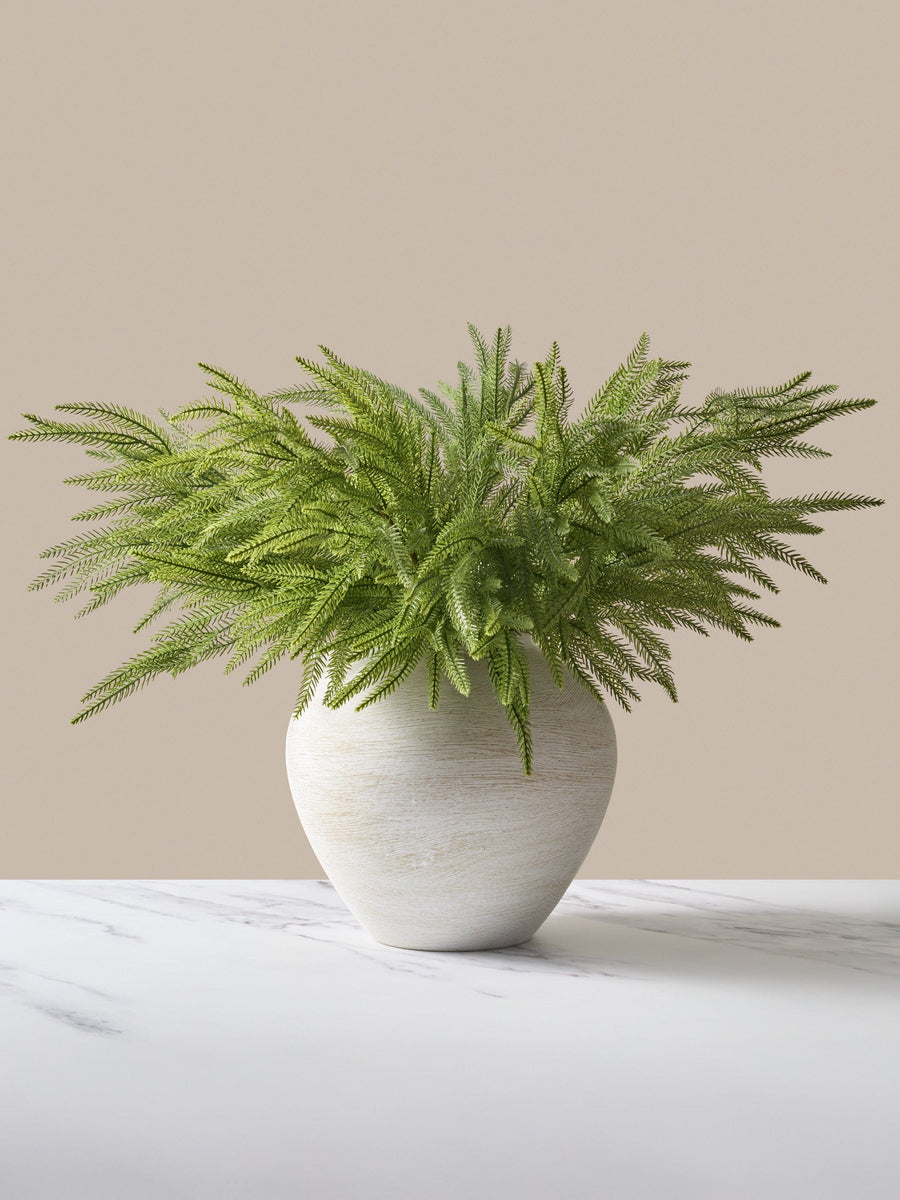 Faux Norfolk Pine (5 Stems)