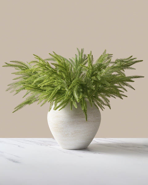 Faux Norfolk Pine (5 Stems)