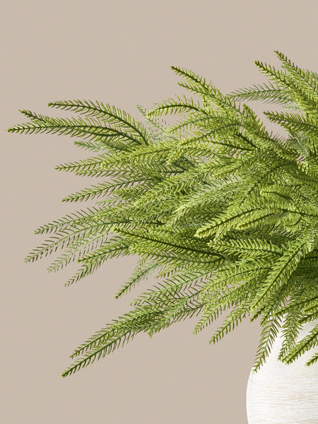 Faux Norfolk Pine (5 Stems)