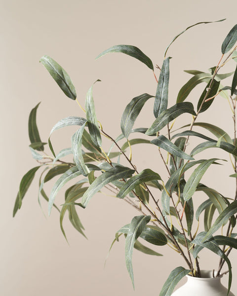 Faux Willow Eucalyptus - Green (5 Stems)