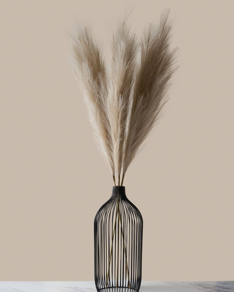 Tall Faux Pampas Grass - Brown (3 Stems)