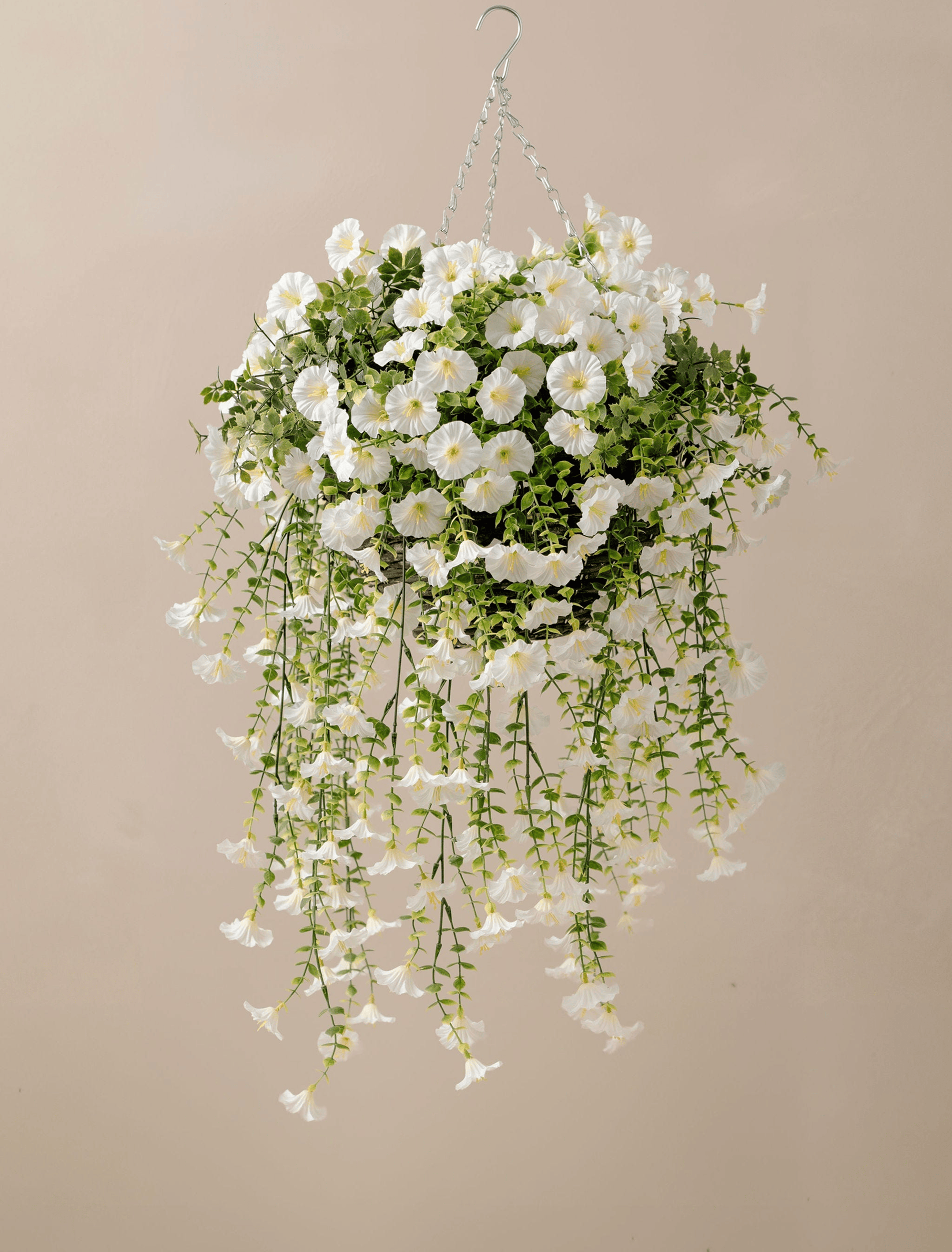 Outdoor Hanging Petunia Basket - White