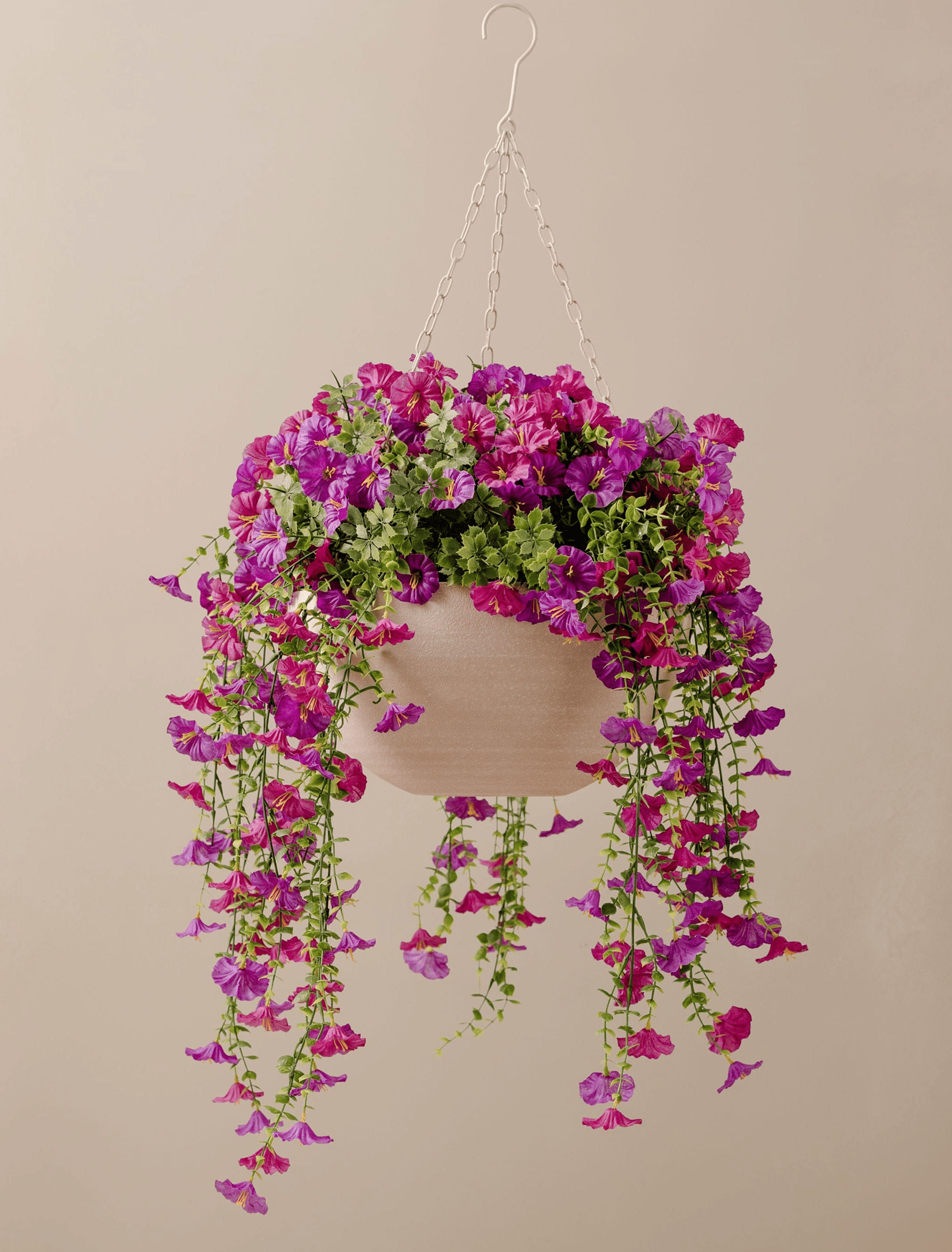 Outdoor Hanging Petunia Basket - Purple