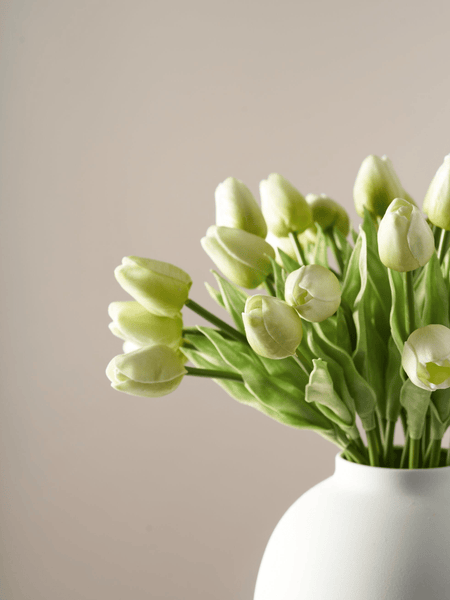Faux Tulip - Green (25 Stems)