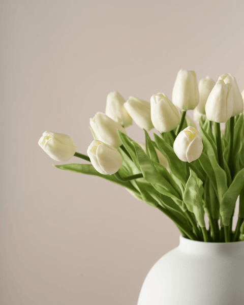 Faux Tulip - Ivory (25 Stems)
