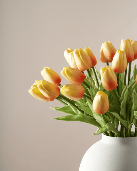 Faux Tulip - Sunrise (25 stems)