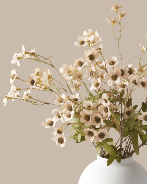 Faux Wax Flower - Cream (10 Stems)