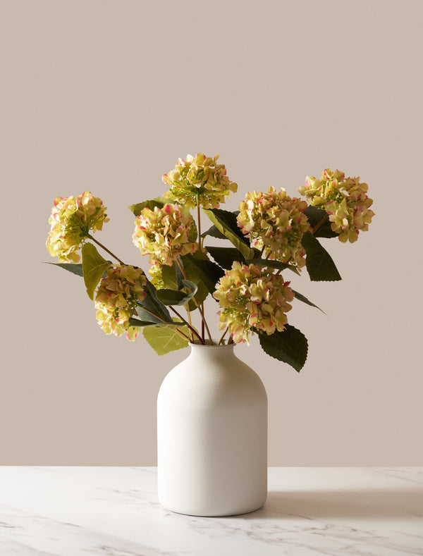 Citrus Rose
