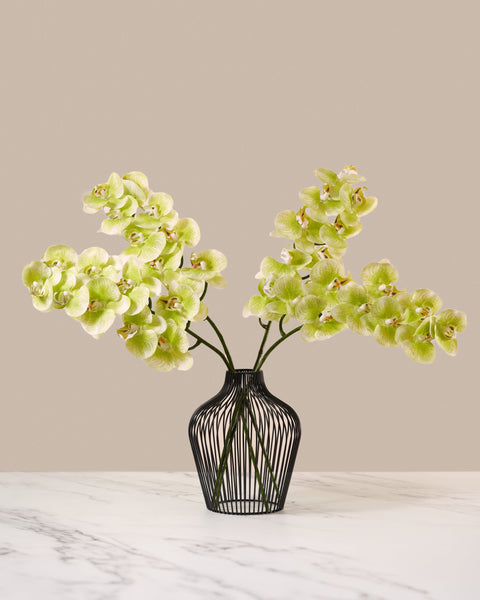 Faux Orchid - Lime (4 stems)