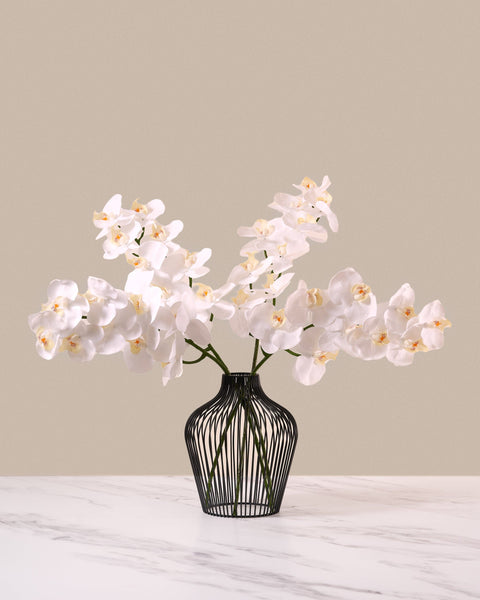 Faux Orchid - White (4 stems)