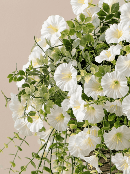 Outdoor Hanging Petunia Basket - White