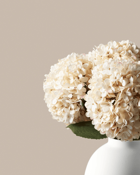 Large Faux Hydrangea - Cream (5 Stems)