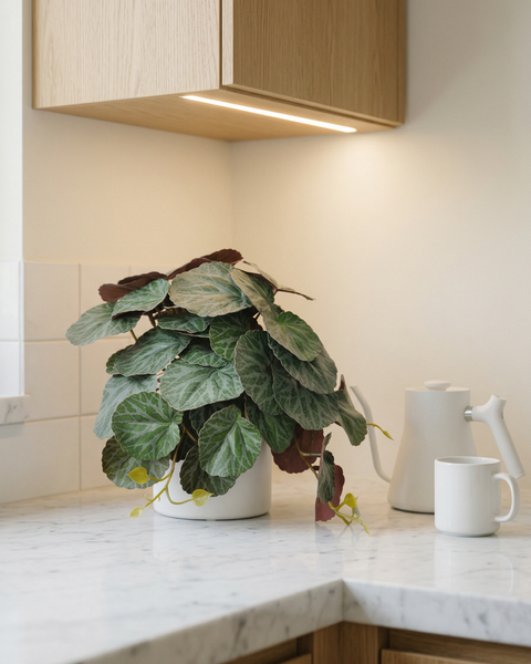 Faux Greenery - The Petite