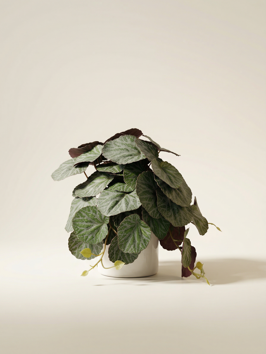 Faux Greenery - The Petite