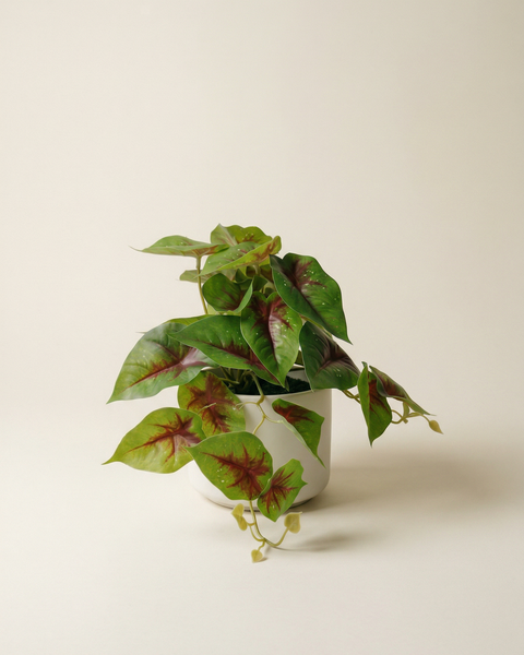 Faux Greenery - The Sprig