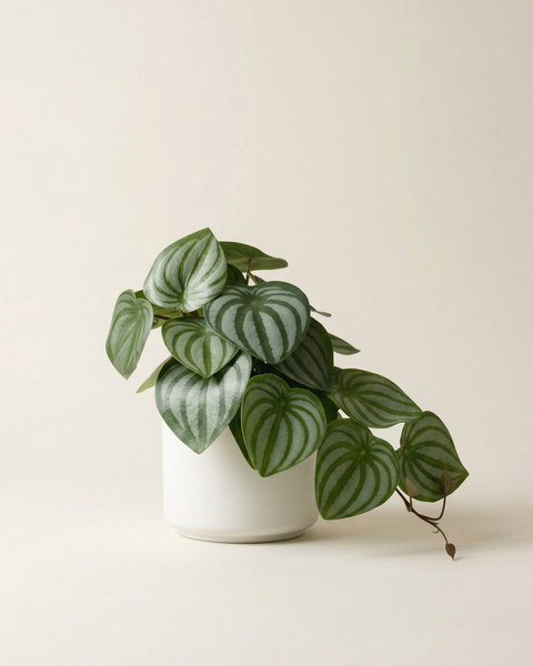 Faux Greenery - The Sage